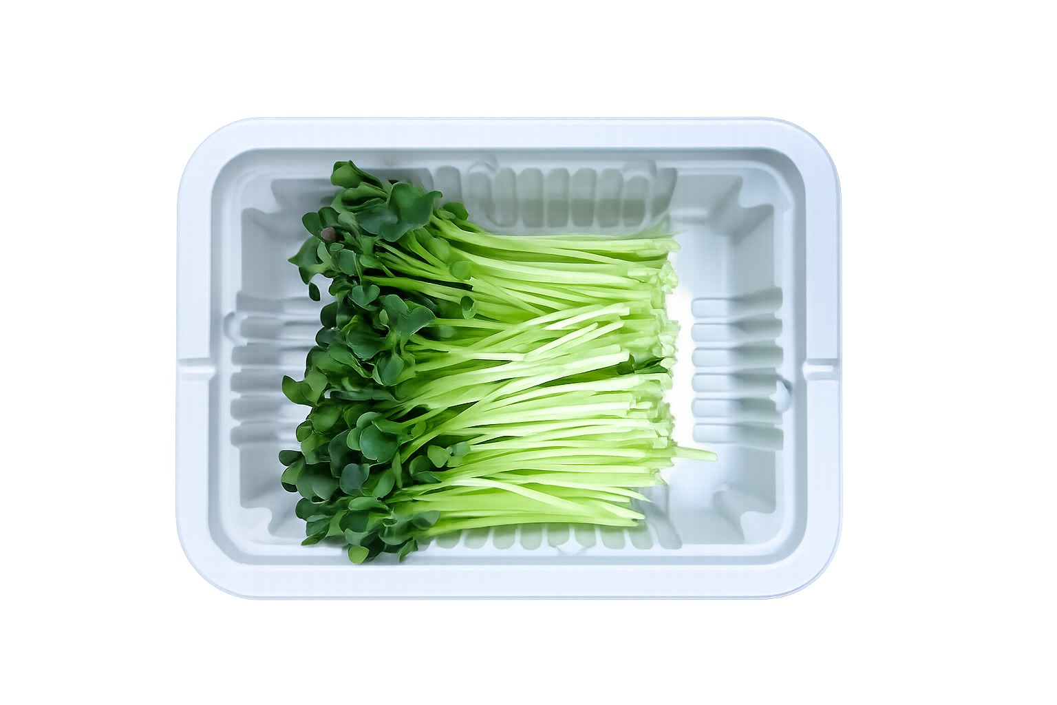 한나팜 무순 50g 포장 상품